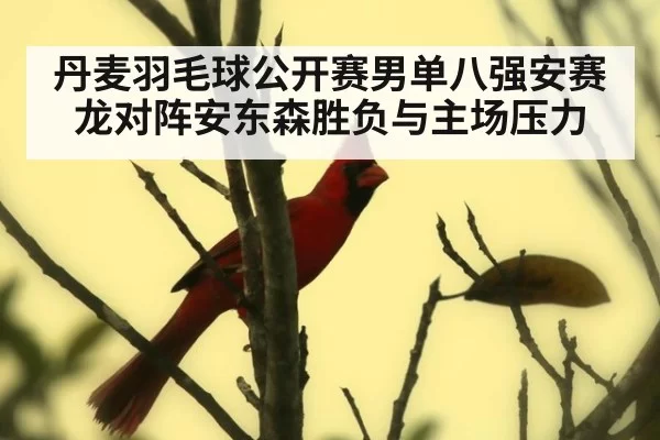 丹麦羽毛球公开赛男单八强安赛龙对阵安东森胜负与主场压力